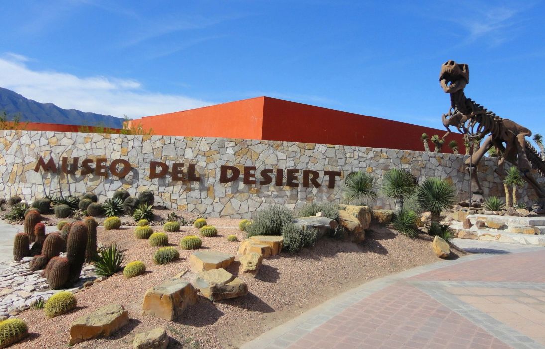 museo desierto